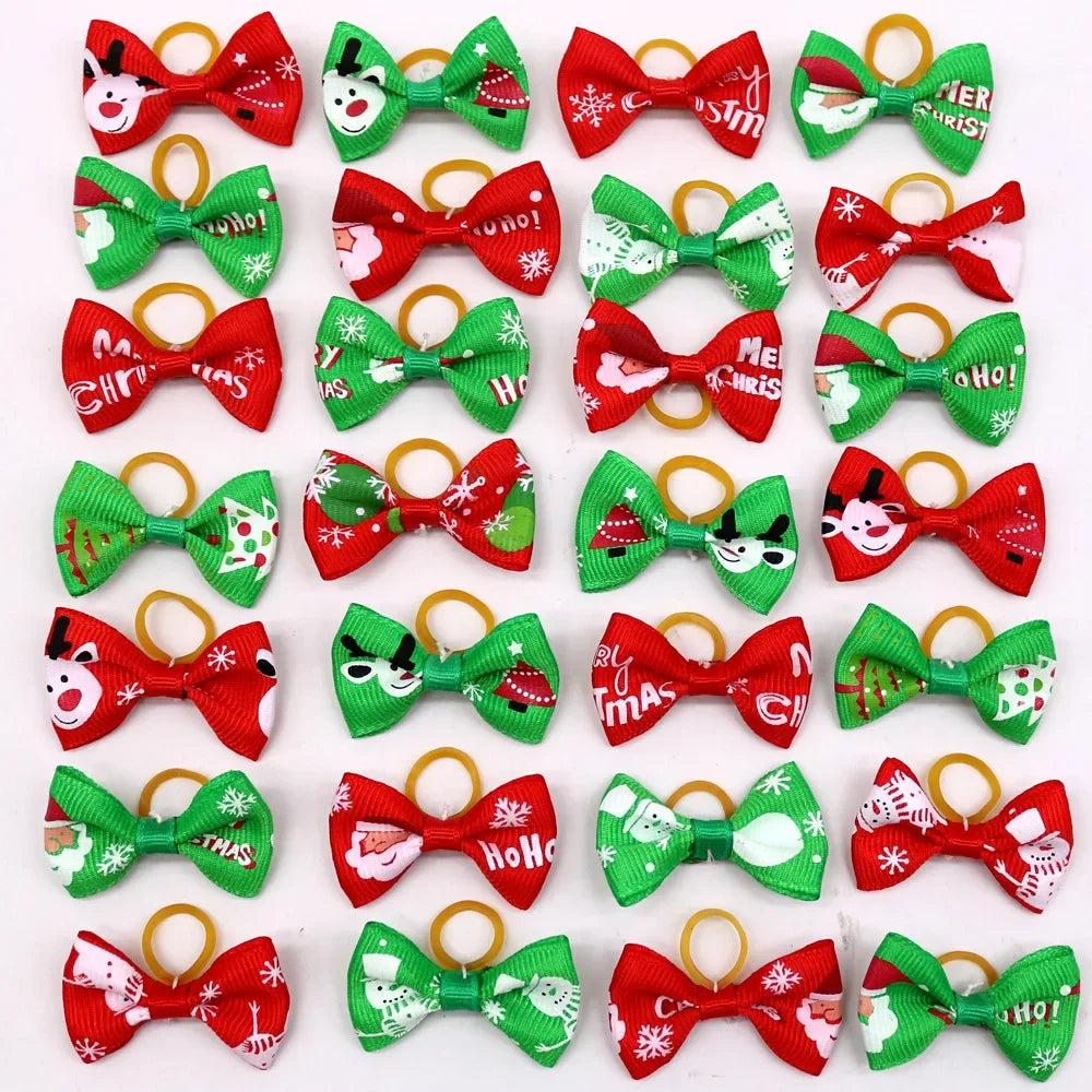 48272343204160